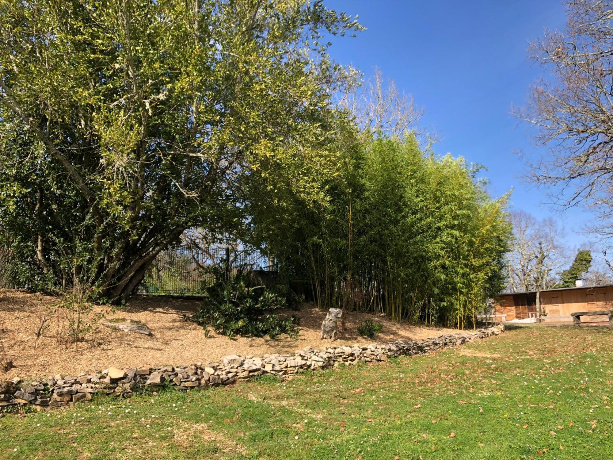 Chateau De Termes Martel Luaran gambar