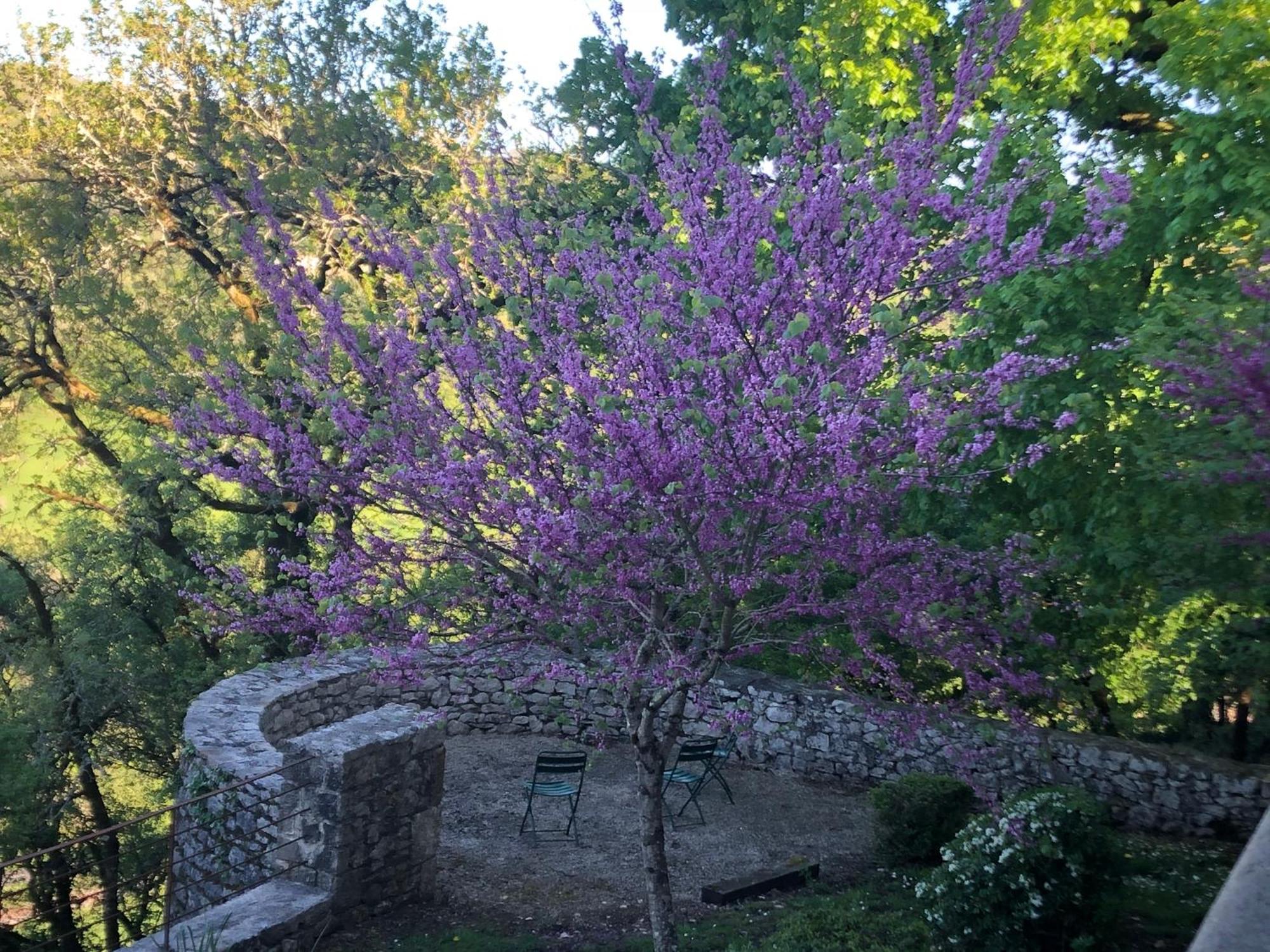 Chateau De Termes Martel Luaran gambar